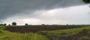 Plot Area in  Land at Narayankhed – for Sale