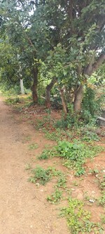600 Sq.Ft. Plot in Vishweshwaraiah Layout