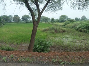  Land For Sale in Naya Gaon