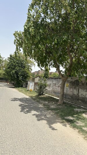 Plot Area in  Plot at RWA Apartments Sector 41, Sector 41 – for Sale