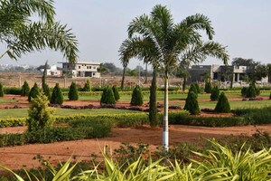  Plot – Garden View at Amangal - for Sale