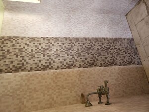 Washroom in 1 BHK Apartment at Avalon Homes, Tijara – for Sale