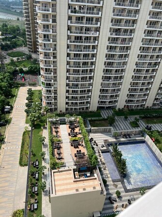 3 BHK + Prayer Room Apartment For Rent in Ramprastha Skyz in Sector 37d, Gurgaon