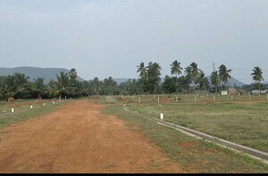 Plot Area in  Plot at Atchutapuram – for Sale