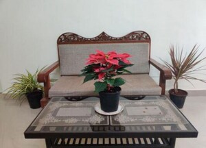 Hall in 1 BHK Apartment at Juhu – for Rent