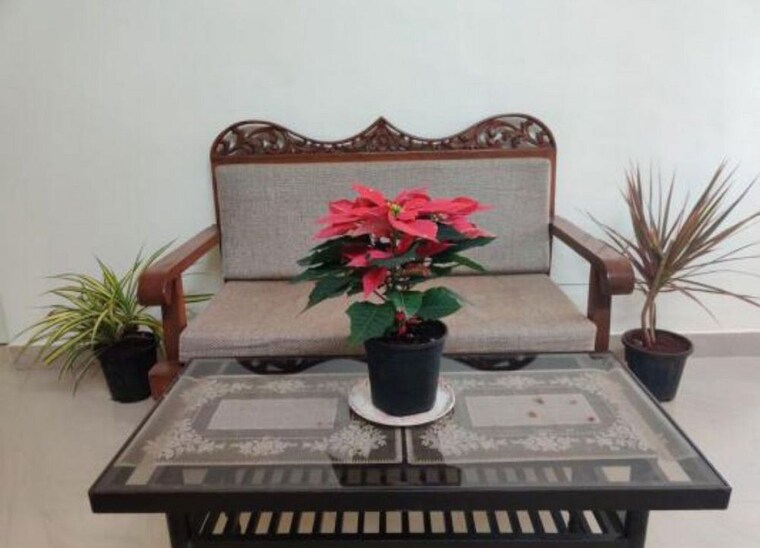 Hall, juhu 1 Bedroom 500 Sq.Ft. Apartment In Juhu Mumbai 10640930