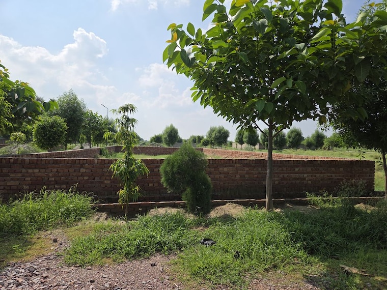 Garden, jait  1800 Sq.Ft. Plot In Jait Vrindavan 10641061