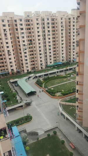 2.5 BHK Apartment For Rent in SRS Royal Hills, Sector 87