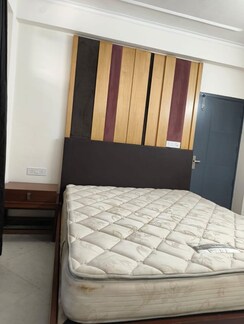 2.5 BHK + Prayer Room,Servant Room,Study Room,Extra Room,Store Room Builder Floor For Rent in Kendriya Vihar