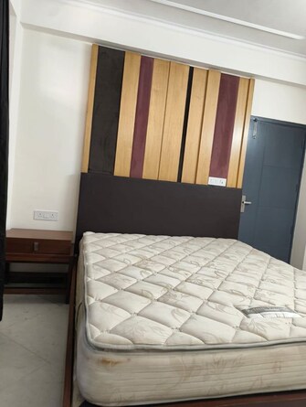2.5 BHK + Prayer Room,Servant Room,Study Room,Extra Room,Store Room Builder Floor For Rent in Kendriya Vihar in Sector 56, Gurgaon