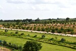 200 Sq.Yd. Plot in Fortune Nector