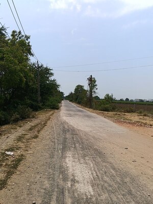 Plot Area in  Independent House at Olpad – for Sale