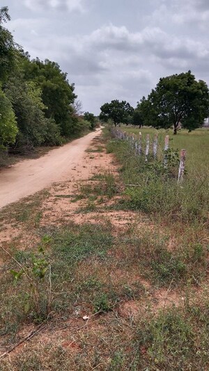 Plot Area in  Land at Cholleru – for Sale