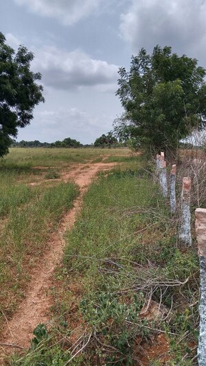 Plot Area in  Land at Cholleru – for Sale