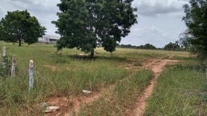 Plot Area in  Land at Cholleru – for Sale