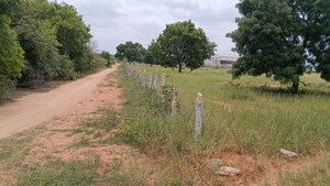  Land For Sale in Cholleru
