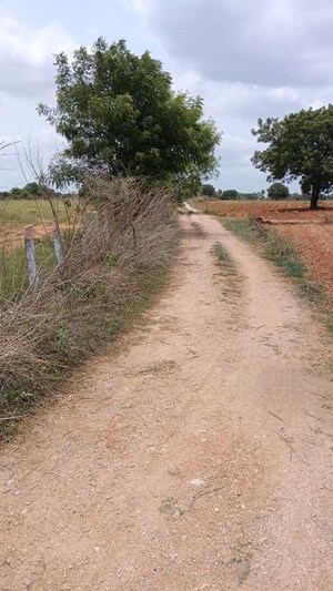 Plot Area in  Land at Cholleru – for Sale