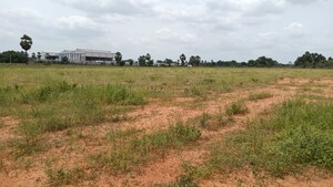 Plot Area in  Land at Cholleru – for Sale