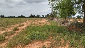 Plot Area in  Land at Cholleru – for Sale