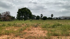 Plot Area in  Land at Cholleru – for Sale