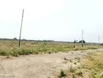 1250 Sq.Yd. Land in Birmi