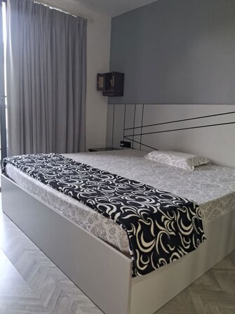 4 BHK 500 Sq.Yd. Builder Floor in DLF Imperial Residences