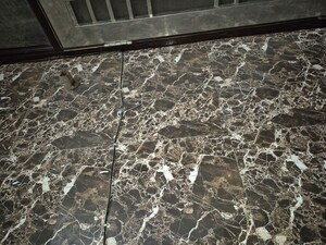 Balcony in 3.5 BHK Builder Floor at Mayur Vihar – for Rent