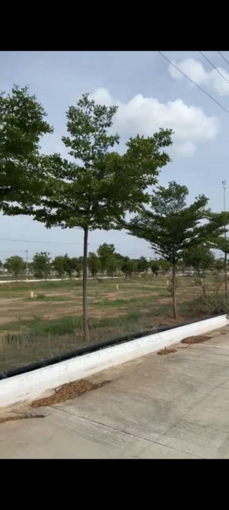 undefined, masaipet  165 Sq.Yd. Plot In Masaipet Yadagirigutta 10641650