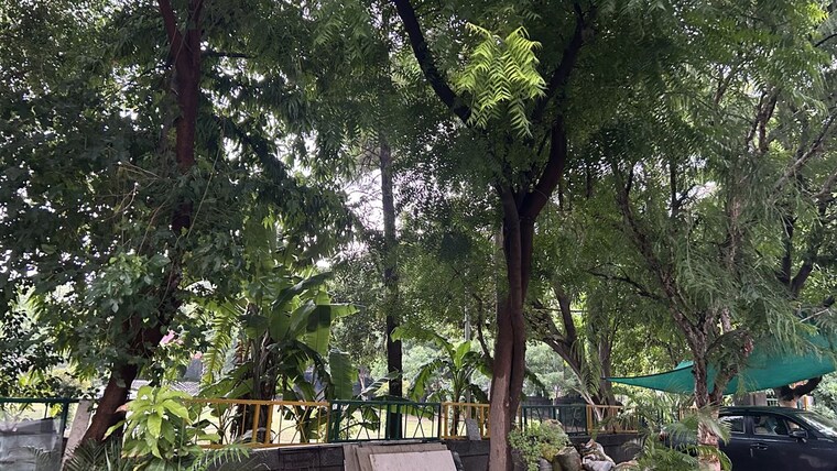 Garden, max-estate-105  112 Sq.Mt. Plot In Sector 105 Noida 10640047