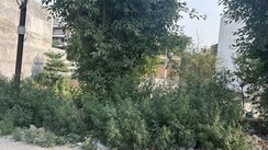 Plot For Sale in RWA Apartments Sector 108