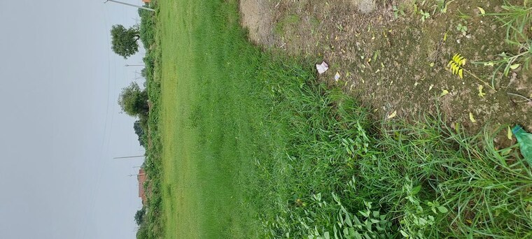 undefined, pachgain khera  140 Sq.Yd. Plot In Pachgain Khera Agra 10642250