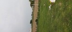 105 Sq.Yd. Plot in Dhanauli