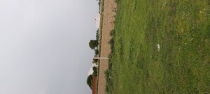 Plot Area in  Plot at Dhanauli – for Sale