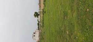 Plot Area in  Plot at Dhanauli – for Sale