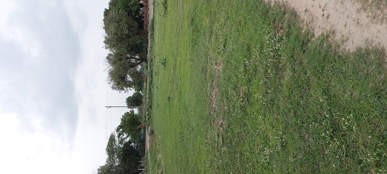 undefined, dhanauli  105 Sq.Yd. Plot In Dhanauli Agra 10642334