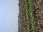 3500 Sq.Yd. Land in Bhagawan Nagar Scoiety