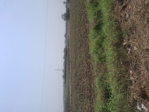  Land For Rent in Bhagawan Nagar Scoiety