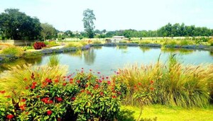  Plot – Exterior View View at Shriram Hamsadhwani, Anekal - for Sale