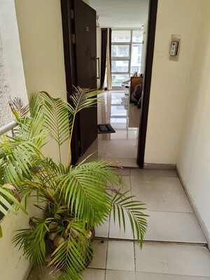 Balcony in 2 BHK Apartment at Rohan Mithila, Viman Nagar – for Rent