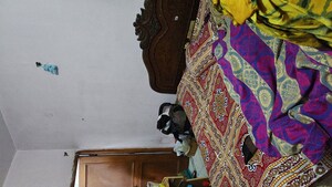 Furnished Amenities in 4 BHK Independent House at Chiranjiv Vihar – for Sale