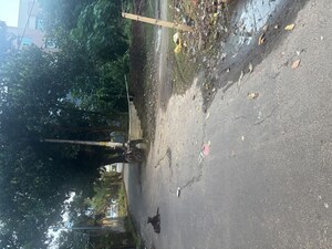  Plot – Exterior View View at Baishnabghata Patuli Twp - for Sale