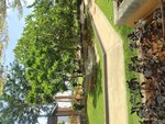 3 BHK + Prayer Room,Servant Room 2730 Sq.Ft. Apartment in Trendset Jayabheri Elevate