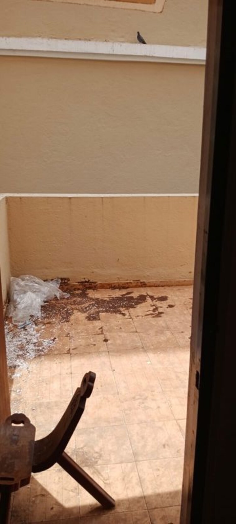 Bathroom, karia-konark-campus 3 Bedroom 1650 Sq.Ft. Apartment In Viman Nagar Pune 10643625
