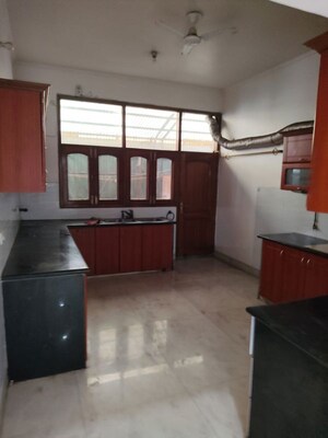Kitchen in 3 BHK Builder Floor at RWA Apartments Sector 39, Sector 39 – for Rent