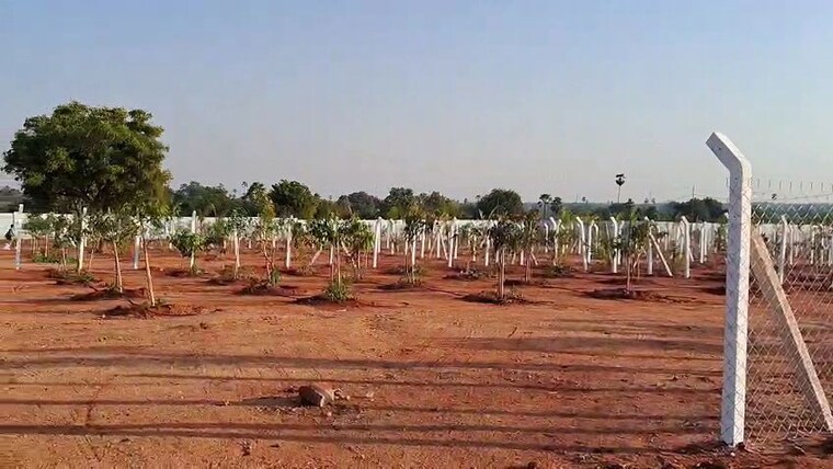 undefined, keesara  300 Sq.Yd. Plot In Keesara Hyderabad 10633553