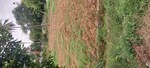 1500 Sq.Ft. Plot in Happy Valley Layout