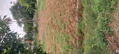 Plot For Sale in Happy Valley Layout