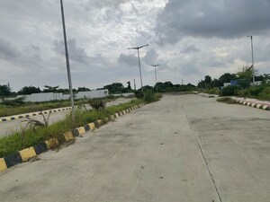 Plot Area in  Plot at Kandi – for Sale