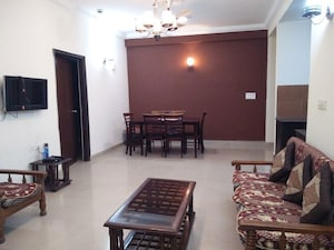 Living Room in 2 BHK Builder Floor at RWA Apartments, Sector 31 – for Rent