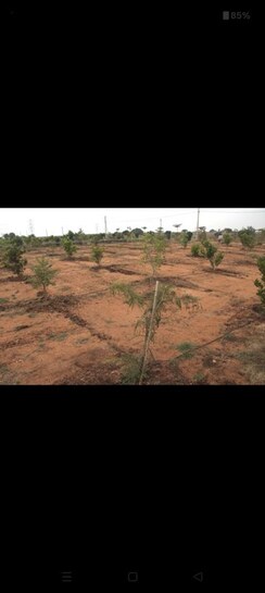 Plot For Sale in Kothapet